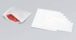 画像1: ラミパック No.50 (210×182mm) 福助工業 1ケース3,000枚入り (1)
