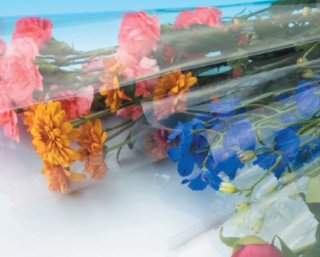 70726f647563742f686f7269782f62