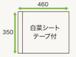 画像2: 白菜シート(テープ付き) (450×450mm) ホリックス 1ケース4,000枚入り (2)