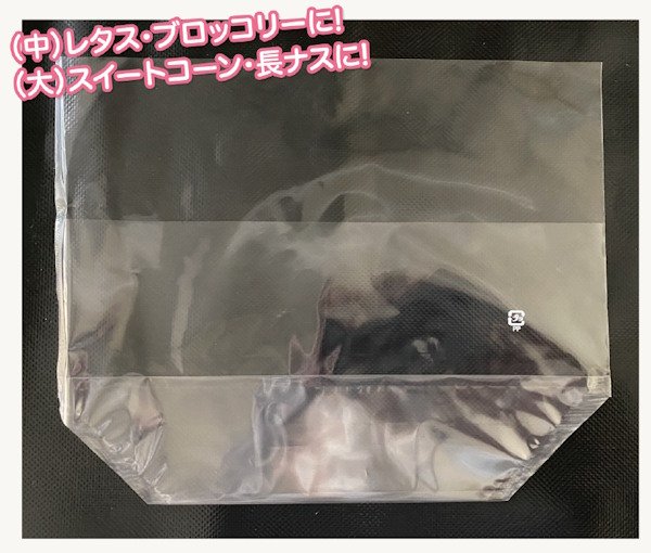画像1: 生き生きスマートシリーズ ポーチバッグ(中) (300×150+65+90mm) ホリックス 1ケース3,000枚入り (1)