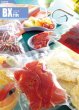画像1: バリアー性 三方袋 (バリアーOP/CPタイプ) BX-1626 H (160×260mm) 明和産商 1ケース4,000枚入り (1)