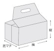 画像3: 保冷袋 ミナクールパック 箱型袋 Sサイズ CH5 (225×110+125+190mm) 酒井化学工業 1ケース50枚入り ※個人宅別途送料 (3)